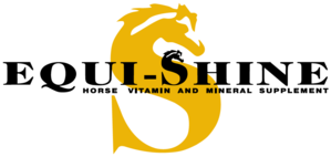 EquiShine Logo