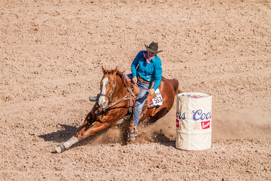 Equine Genetics and Horse Breeding