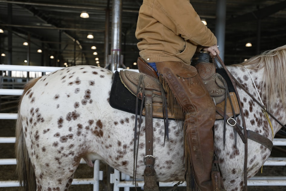 Understanding Foundation Quarter Horses